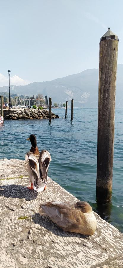 Riva Del Garda Nest Riva del Garda Exterior photo